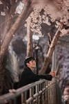 春の夜
